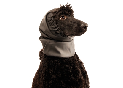Picture of SHOW TECH SNOOD WATERPROOF BLACK
